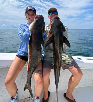 Epic battles, epic Cobia fish in Chesapeake Bay